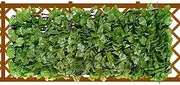 Outdoor Privacy Fence,Expandable Balcony Privacy Screen | Garden Trellis Panels Expanding Greenery Backdrop Decoration for Poolside Balcony