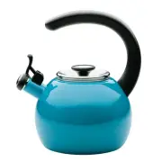 Enamel Steel Whistling Tea Kettle Hot Water Kettle Gas stovetop Induction 2qt
