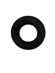 RAYMOND FORKLIFT OIL SEAL RAS990216CE