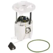 Fuel Pump Module Assembly fits 2009 Ford Flex DELPHI (for: Ford)