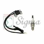 Ignition Coil For Generac Centurion GP5500 GP6500 GP6500E LP5500 389CC Generator