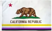 California Non-Binary Flag 3x5ft Rainbow Pride Flag LGBT LGBTQIA NB Enby Pride 1