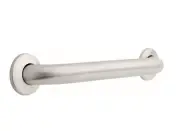 Franklin Brass 5716 16" Bath Safety Concealed Mount Grab Bar Stainless Steel