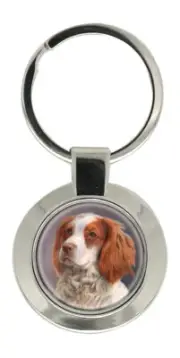 Welsh Springer Spaniel Key Ring