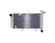 Water Cooler JMP Yamaha XT 660 05-16