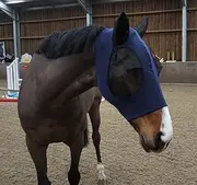 Ruggles Pull On Lycra Fly Mask for Horse And Pony | Mesh Eyes and Ears | 4 Way Stretch for Ultra Comfort No Buckles or Straps (XS, Navy)