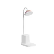 Supperstore 5 In 1 Desktop Office Bedroom Creative Multifunctional Table Lamp Student Reading Eye Protection Lamp with Pen Holder-White