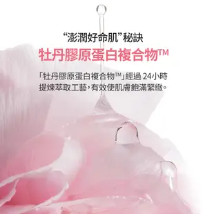 LANEIGE 蘭芝 粉澎潤睡美人晚安面膜 60ml 面膜 凍膜 官方旗艦店