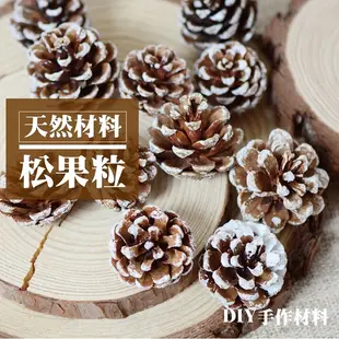 【04999】天然乾燥松果粒 乾果 聖誕節 花圈 DIY材料 香薰蠟燭材料 玻璃罩花材