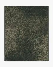 245' x 305' | Machine Washable Runner Rug | Kid & Pet Friendly | Indoor Rug | Architectural Digest Terran Moss Tufted Rug | Ruggable