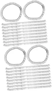 Baluue 2sets Diy Doll Eyelashes Wispy False Lashes for Baby Dolls Craft Supplies Natural Look 30pcs*2