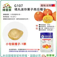 在飛比找Yahoo奇摩購物中心優惠-【綠藝家】G107.橘丸迷你栗子南瓜種子1顆 貝貝南瓜 植株