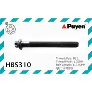 Payen Cylinder Head Bolt Set - HBS310
