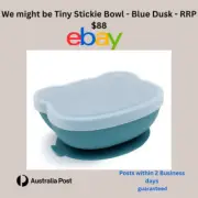 Bear Stickie Plate - Blue Dusk Plate Bowl - We Might Be Tiny
