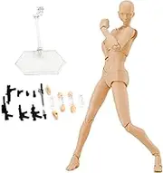 Action Figure Gestures Poseable Figure Lightweight Drawing Mannequin with Stand Support ＆ Accessories Drawing Model for Artists Sketching, Painting Female Mannequin