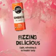 Remedy Kombucha 6 Ginger Lemon/ 6 Mango Passion- Sugar Free 12 Pk. Cans No Sugar
