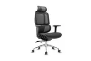 MIUZ Office Chair Executive Computer Chairs Study Home Mesh Lumbar Back Seat Recliner - Black