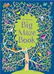 The Usborne Big Maze Book