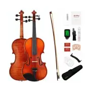 Violin 4/4 Full Size Set, Solid Wood Fiddle Kit for Adults Beginners with Ext...