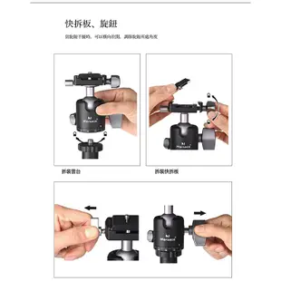 Marsace C29TR 腳架 反折碳纖三腳架雲台套組 相機腳架 (公司貨)