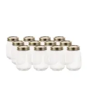 Salisbury & Co Mason Jar with 2pc Lid 500mL Set of 12