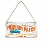 Fall Harvest Pumpkin Patch Decor for Farmhouse Open Daily Pumpkin Patch Thank...