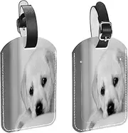 [WOSHJIUK] Luggage Tags,2 Pack Labels Suitcase Tags,Dog White Puppy,Luggage Tags Privacy Protection Travel Bag Tag