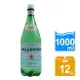 免運 S.Pellegrino義大利聖沛黎洛氣泡礦泉水(寶特瓶) 1000 ml x 12瓶 免運費 聖沛黎洛 氣泡水 義大利 進口 礦泉水 HS嚴選