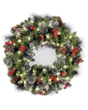 National Tree Company 24in Crestwood Spruce Wreath with 50 Clear Lights