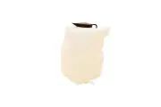 Radiator Coolant Recovery Tank Reservoir Overflow for 1995-2003 Mazda Protege (for: Mazda)