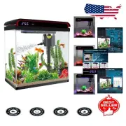 Compact 5 Gallon Glass Fish Tank with Filter & 3 LED Lights for Aquatic Life
