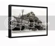 Pikes Peak Coney Island 1910 Brooklyn New York Framed Photo