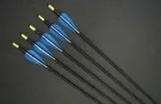 12x 28" Fiberglass Arrows upto 30LB For Kid Practice Target Recurve Compound Bow