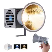 NEEWER HS60B Handheld Bi-Color LED Video Light