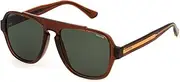 [Police] Mens AVATAR 2 Sunglasses