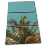 Tropical Palm Minimal Modern Floral TREBLE CANVAS WALL ART Picture Print