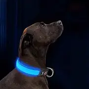 LED Dog Collar Light Up Dog Collar USB Rechargeable Waterproof,Night Dog Band with 3 Glowing Modes,Makes Your Dog Visible, Safe & Seen (Blue, M)
