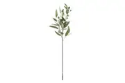 Rogue Eucalyptus Gumnut Spray Green 74x25x13cm