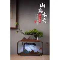 在飛比找蝦皮購物優惠-鬥心魚意 頂級山水缸 頂級魚缸 小魚缸 迷你魚缸 鬥魚 孔雀