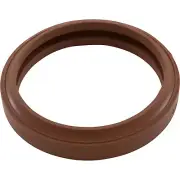 Gasket, Lens, Pentair, Sunlite/Sunlite LTC, 2-3/4"id, 3-1/4"od