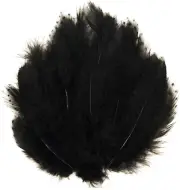 Black Craft Feathers Pheasant Feathers, 50 Pcs Small Spotted Feathers for Hats,