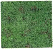SUPVOX Artificial Moss Turf Durable Fake Grass Rug for DIY Micro Landscape Decor High Simulation and Easy Installation for Home and Garden Decoration
