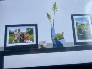 10" Digital Photo Frame Picture Video USB SD Card Clock Calendar New