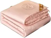 JSEIAJB Silk Quilt Bedding is Thickened in Spring and Autumn to Keep Warm in Winter by Dormitory Quilt Core(4kg)