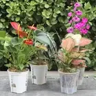 Self-Watering Flower Pot Flower Plant Container Garden Home Decor