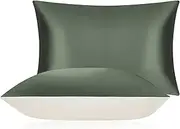 DISANGNI 100% Mulberry Silk Silk Pillowcase, Used for Hair and Skin, Envelope Type, Silk on one Side and Tencel on The Other Side (1pc Standard Size 20" x26" Green)