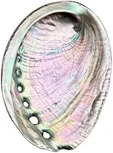 BRBASAP Large Abalone Shell Bowl 4-4.5 Inch Natural Smudge for Sage Burning and Incense - Sea Shell for Decor and Display