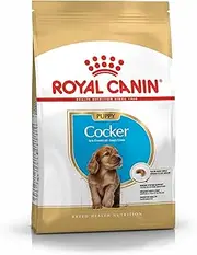 [ROYAL CANIN] Cocker Spaniel Junior 3kg Dog Food Breed Specific Premium Dry Food