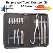 14 Piece Equine Dental Burgess Wolf Tooth Extractor Kit Veterinary Instruments