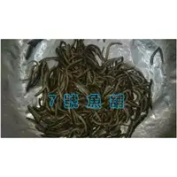 在飛比找蝦皮購物優惠-7號魚舖-冷凍餌料-冷凍泥鰍-食品級.SGS檢驗合格-大型魚